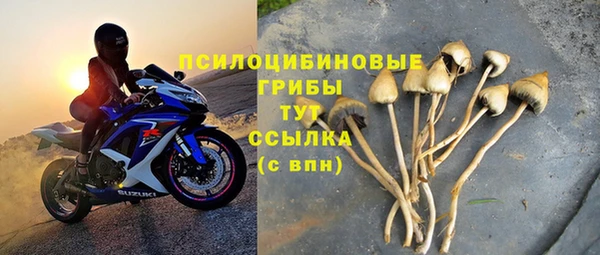 хмурый Горняк