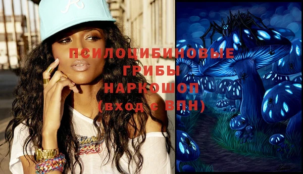 хмурый Горняк