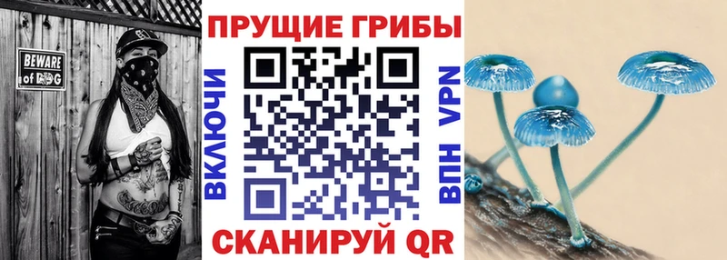 Купить  Светлоград  Галлюциногенные грибы ЛСД 